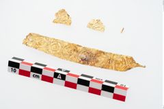 Foto von Goldfolienbeschlag (NHMW-PRAE-026400)